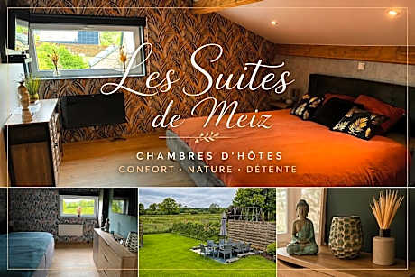 Les Suites de Meiz