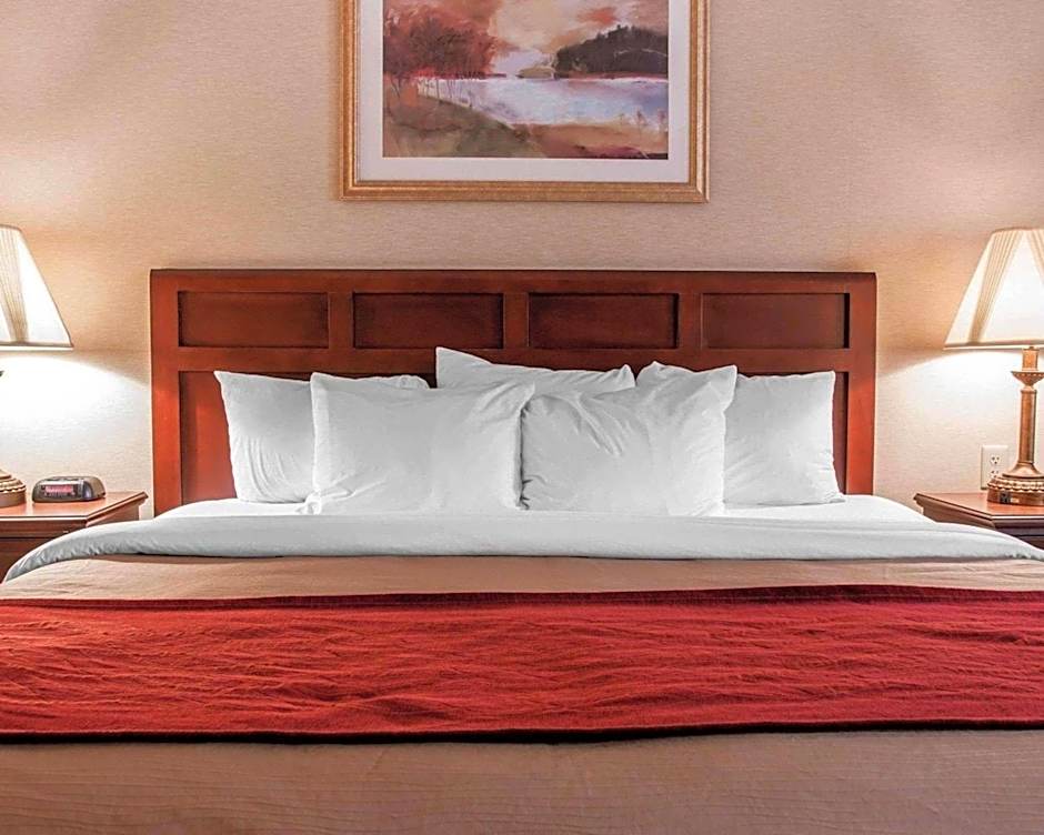 Comfort Inn Livonia
