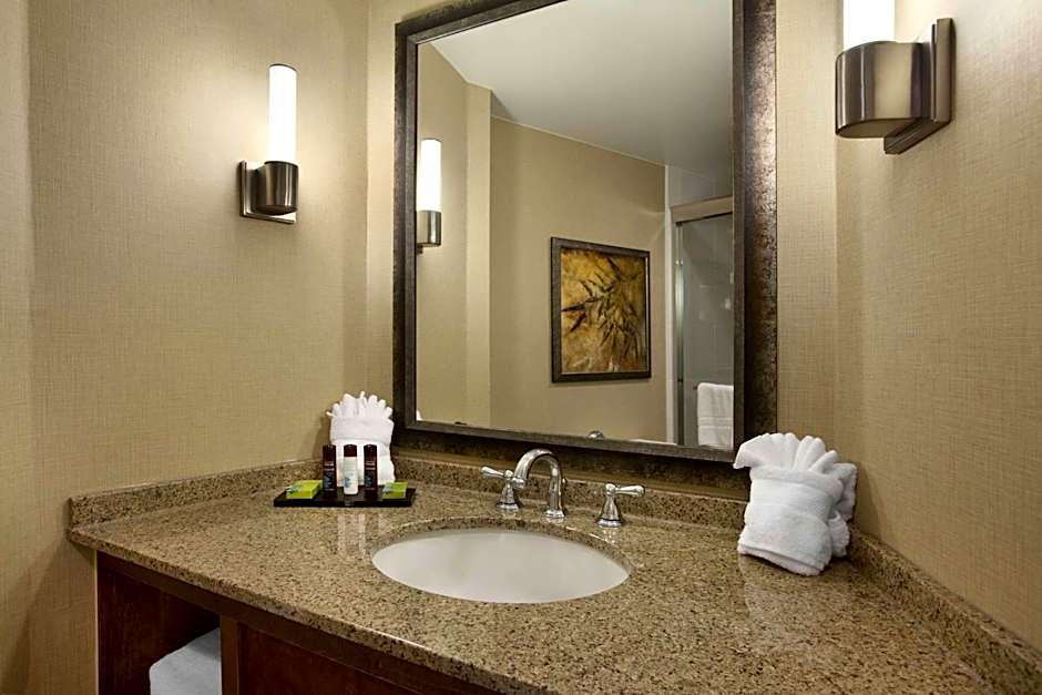 Embassy Suites by Hilton Bloomington / Minneapolis