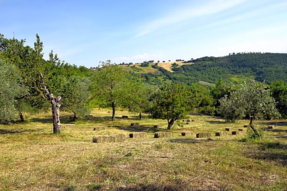 Agriturismo Terra Selvatica