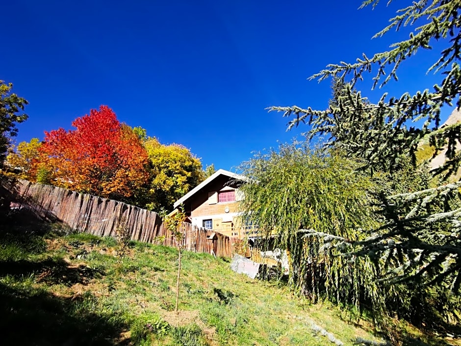 Les marmottes d Estenc