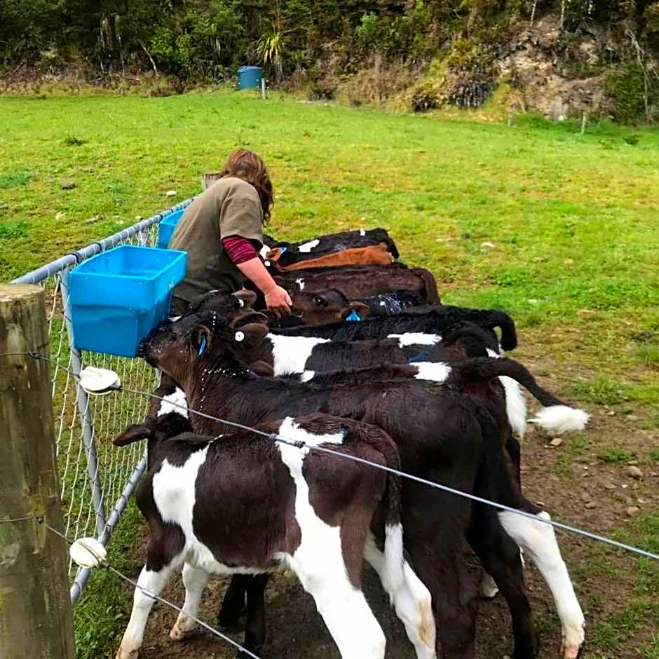 Ahaura Lodge & Waterwheel Farm Stay