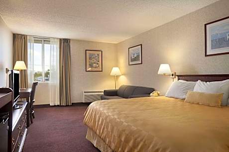 1 King Bed, Business Room, Non-Smoking