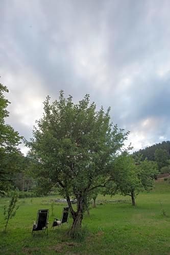 Enz Residenz