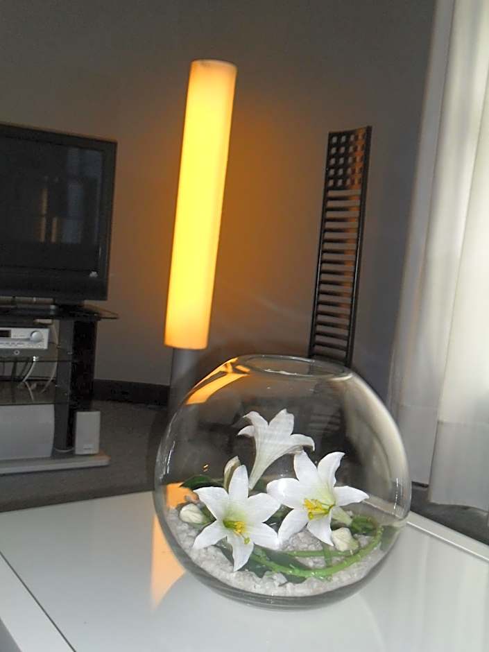 Hotel Anoeta