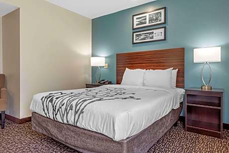 1 Queen Bed, Nonsmoking, Accessible