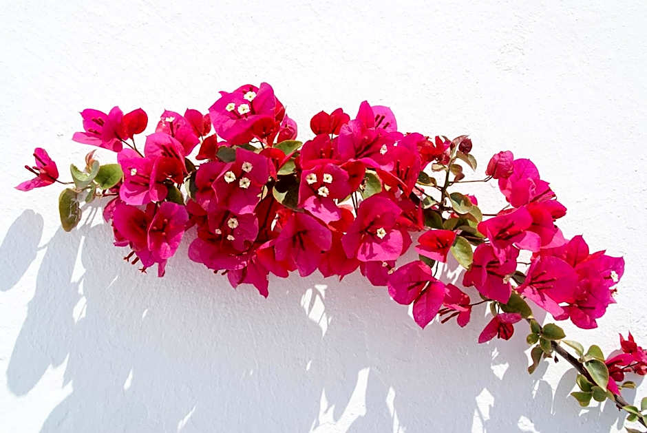 Aethrio Sunset Village - Oia