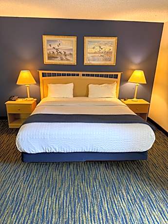 Deluxe King Suite