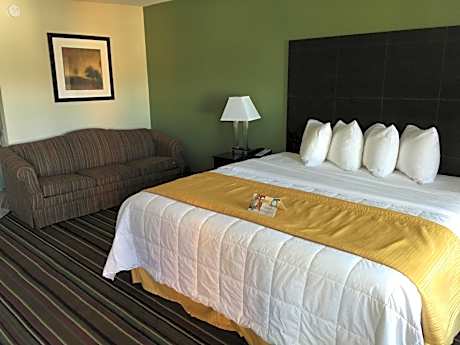 King Room with Sofa Bed - Non-Smoking