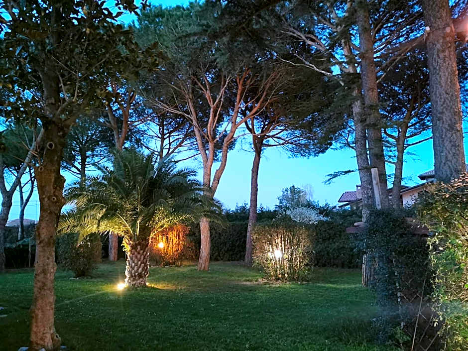 B&B Parco degli Ulivi