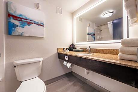 King Room with Roll-In Shower - Mobility Accessible/Non-Smoking