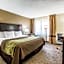 Comfort Inn Detroit Downtown