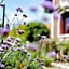 Hotel Restaurant La Musardiere