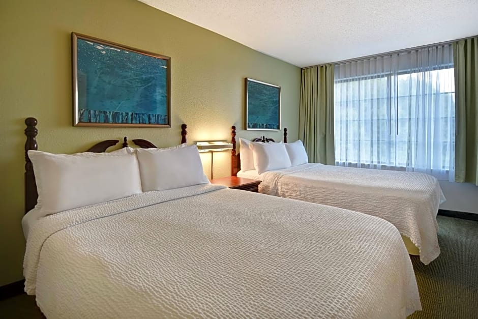 SpringHill Suites by Marriott Atlanta Buford/Mall of Georgia