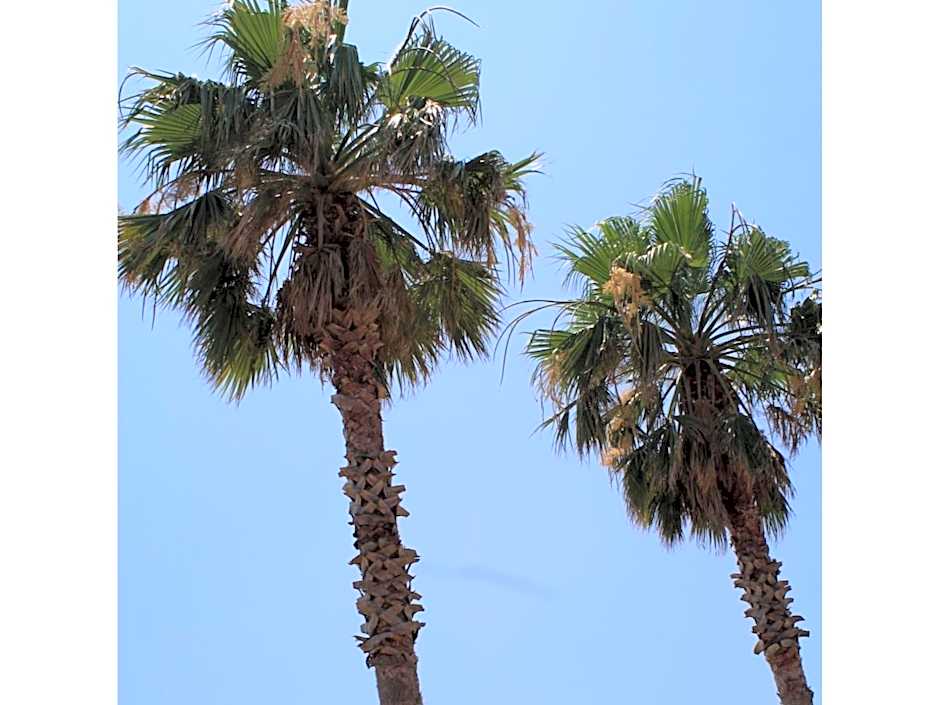 Seaside Hotel Geibousou - Vacation STAY 92572v