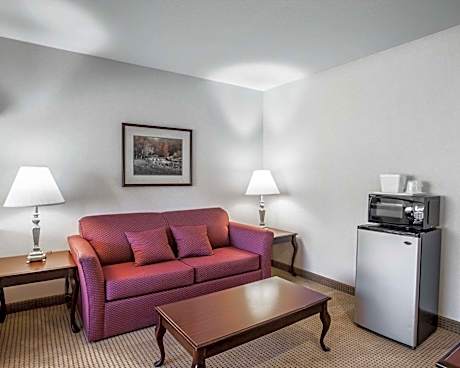 1 King Bed, Suite, Nonsmoking