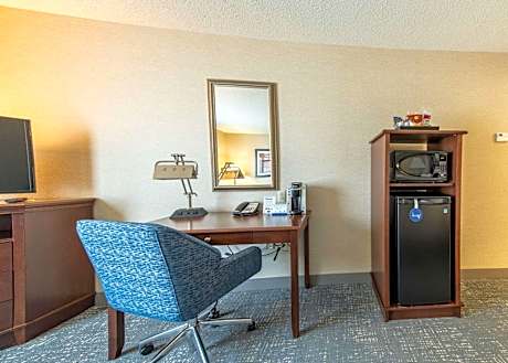 Premium King Room with Sofa Bed - Non-Smoking