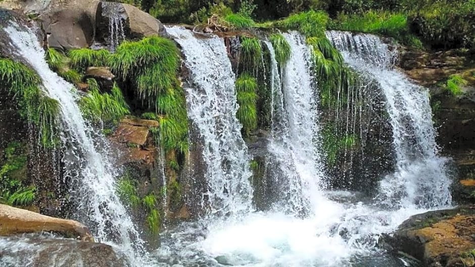 Lago da Garça Guesthouse