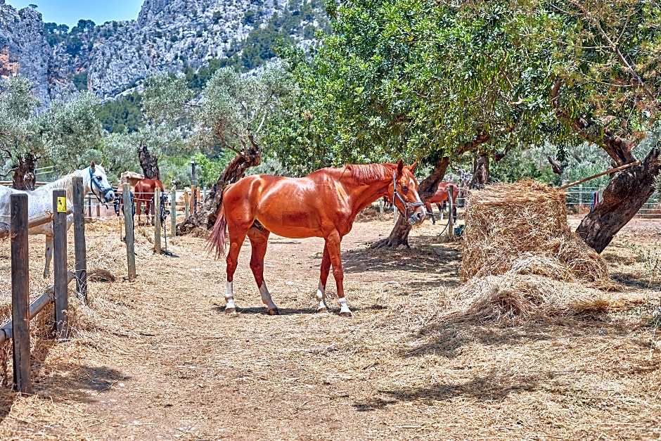 Agroturismo Alquería Blanca