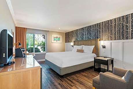 King Room - Accessible/Non-Smoking
