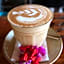 seno guesthouse and cafe