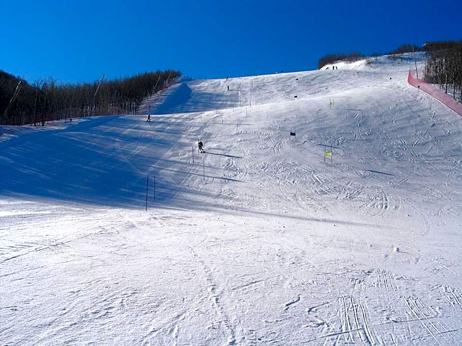 Hotel Miravalle 2000