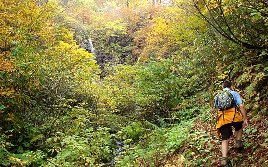 Nozawa View Hotel Shimataya