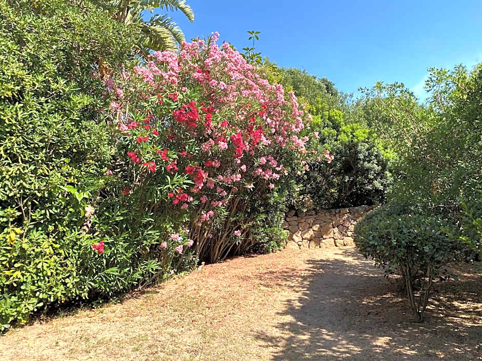 Domus Olivarum - Costa Smeralda 6 guest, 3 room, 2 bathroom, 2 parking Wifi