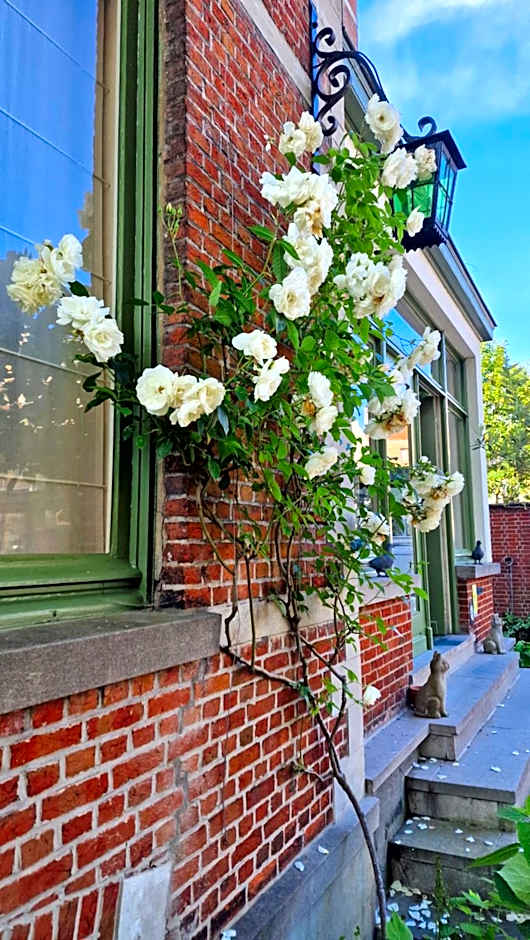 B&B Fine Fleur