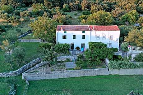 Vacation House Viskic