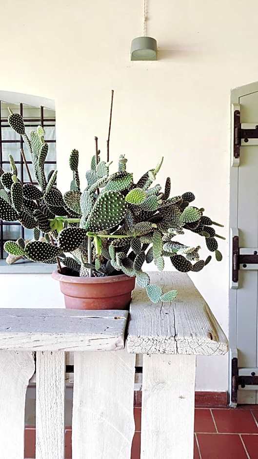 La Scuderia Charming Rooms b&b