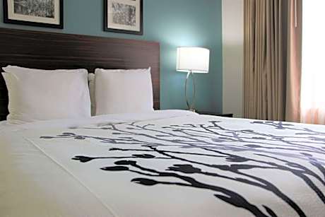 Queen Room - Non-Smoking