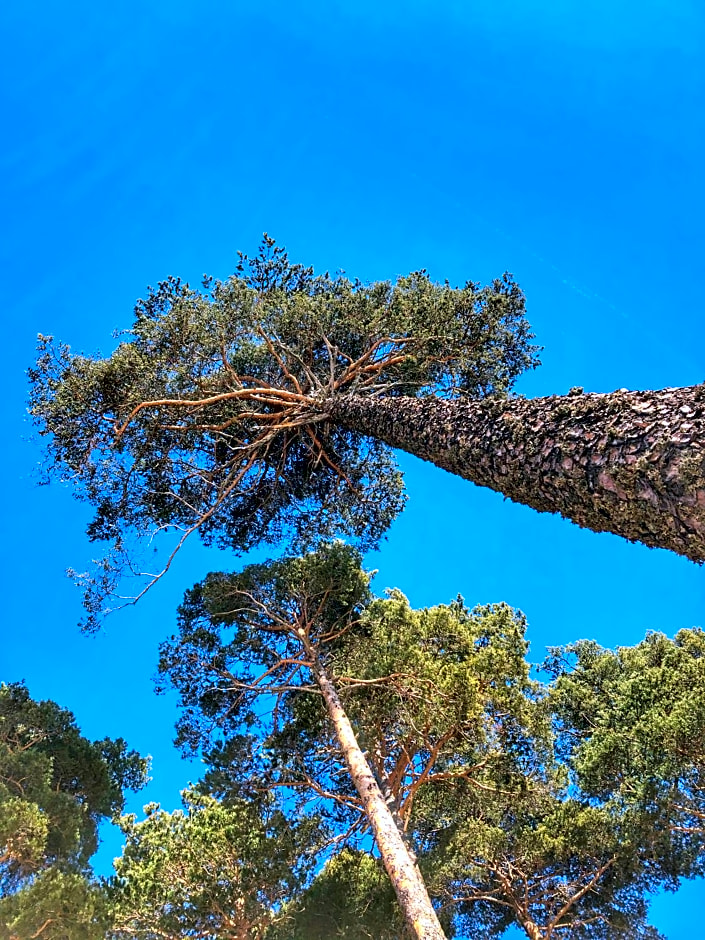 Pràcatinat Hotel & Restaurant