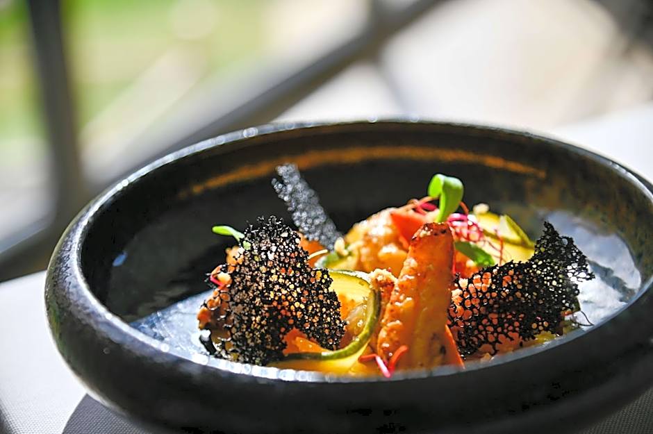 Domaine Ribiera, Hotel 5 Etoiles, SPA & Golf - Forcalquier
