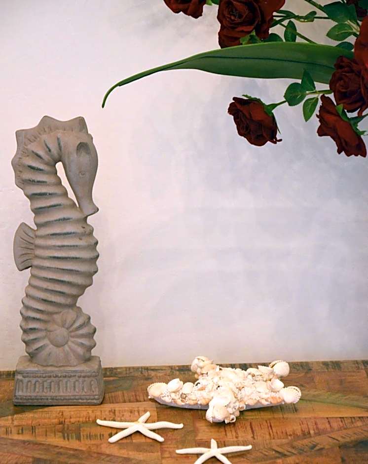 Il Salernitano Bed and Breakfast