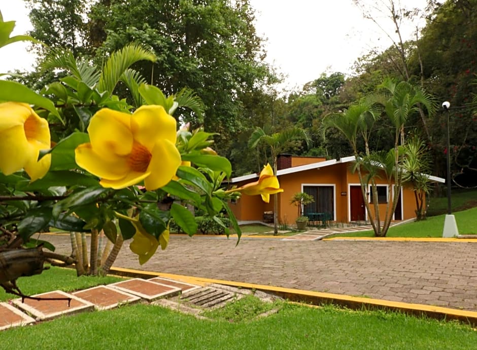 Mision Los Cocuyos