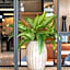Ibis Bourgoin Jallieu Medipole