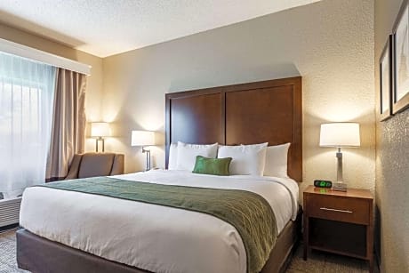 King Room - Accessible/Non-Smoking