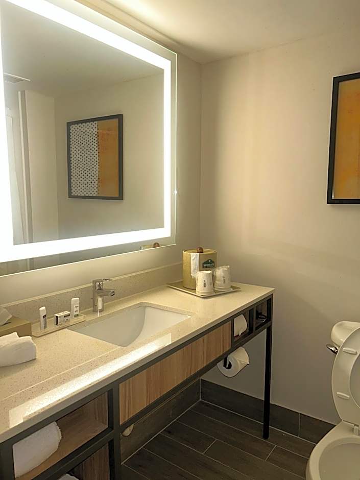 Wingate By Wyndham Richmond Short Pump