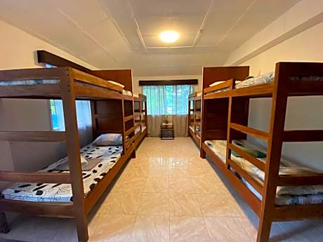 Bed in 4-Bed Mixed Dormitory Room