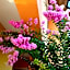 B&B Villa Giulia