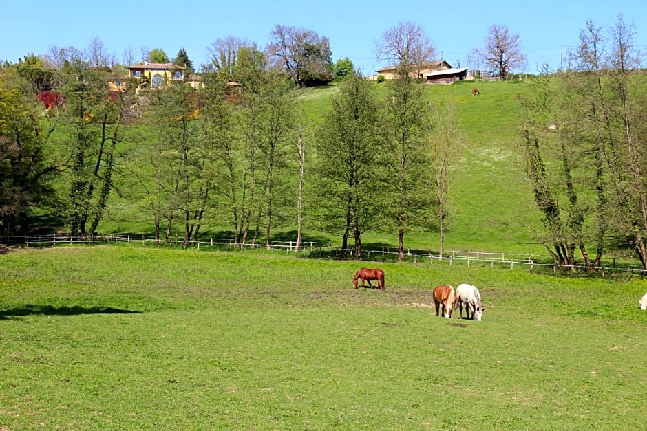 Le Vallon de Saint André