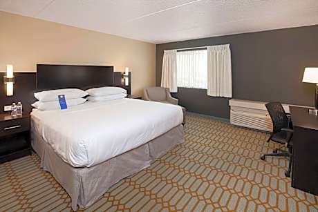 King Suite with Sofa Bed