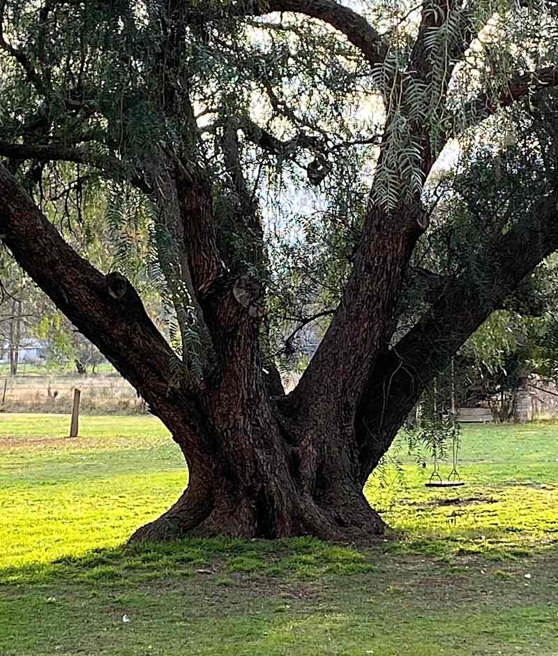 The Old Butter Factory at Springhurst Estate