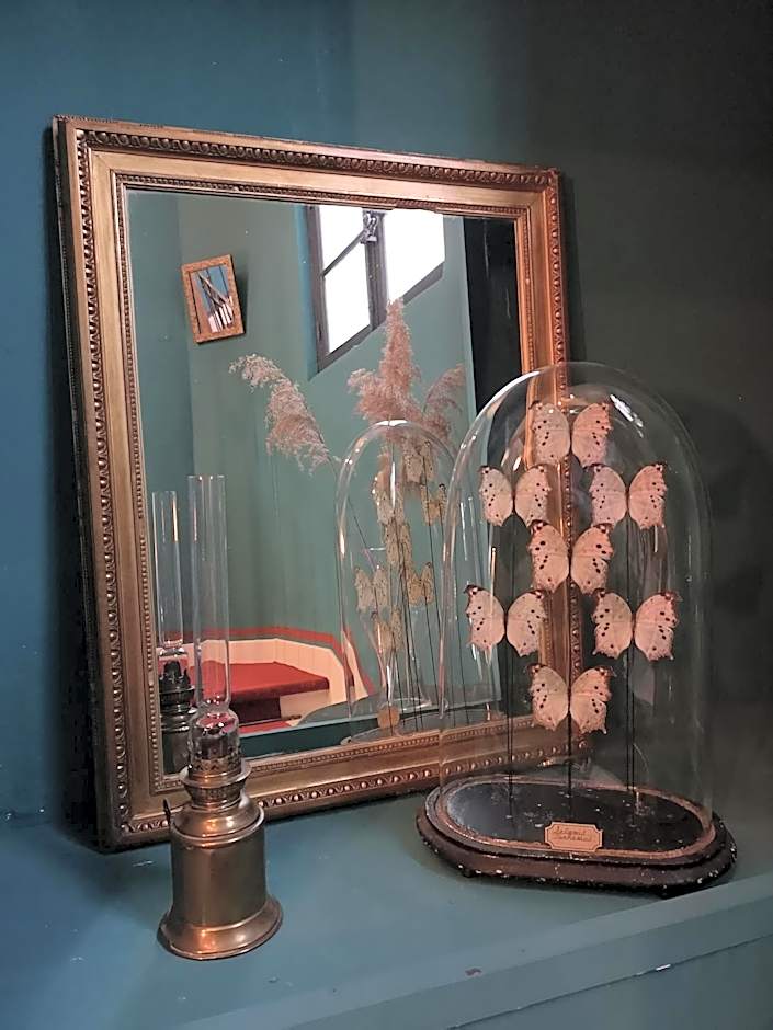 Hôtel De L'Amphithéâtre