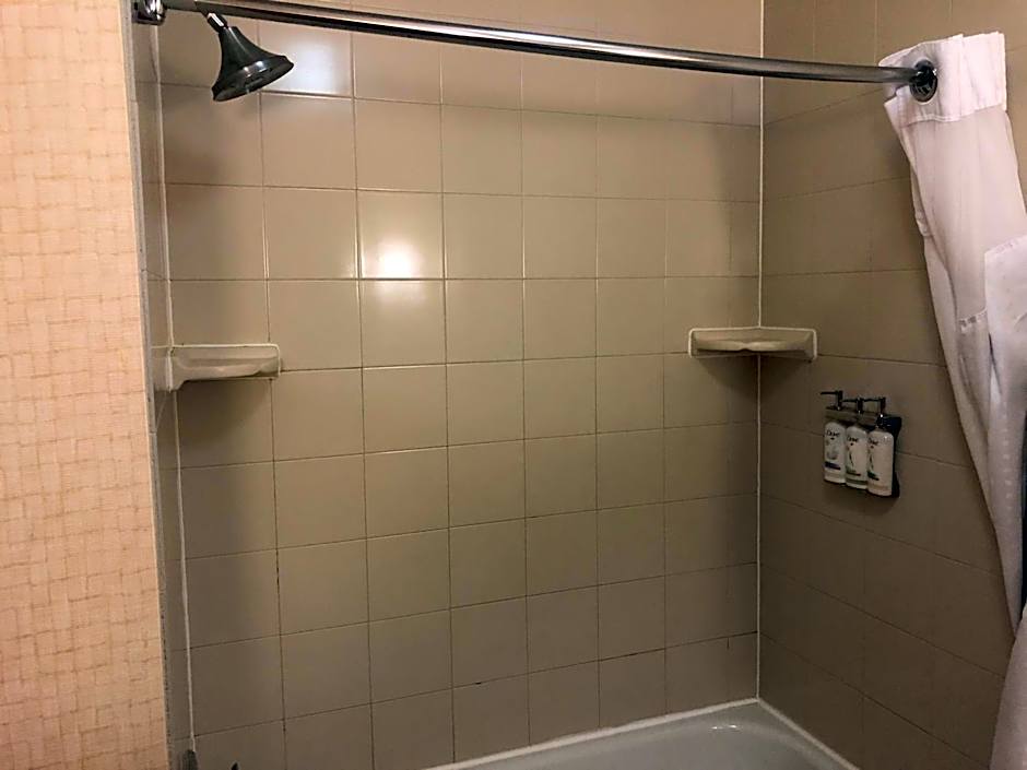 Holiday Inn Express Hotel & Suites Lansing-Dimondale By IHG