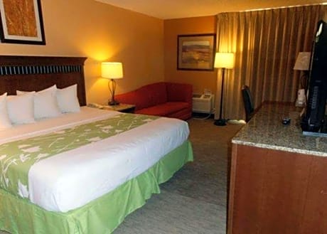 1 King Bed, Efficiency, Nonsmoking