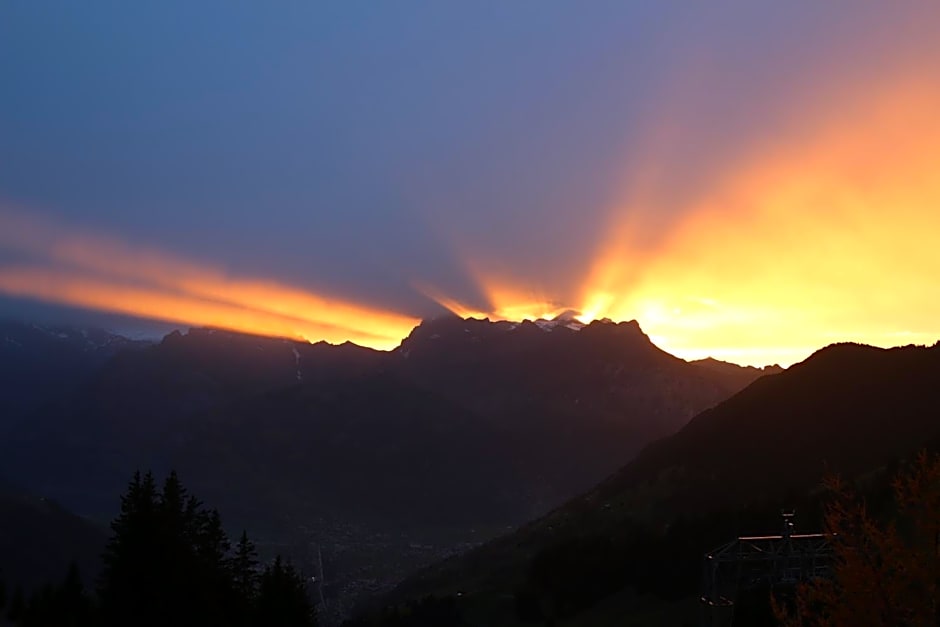 Alphotel Biel-Kinzig - Access by Cable Car only!