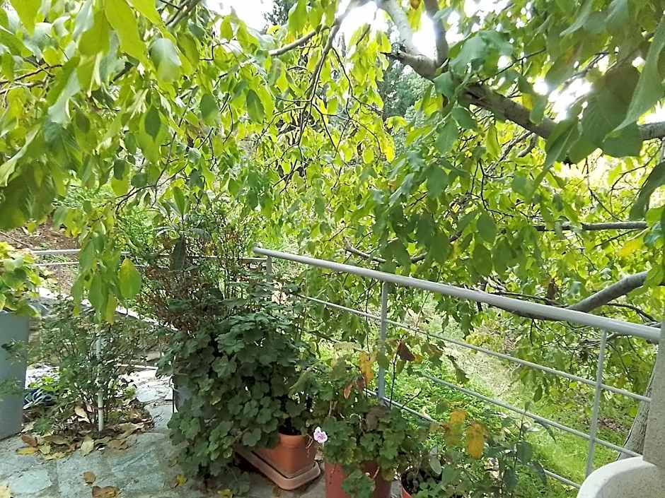 Kampi Double Storey House in the Village