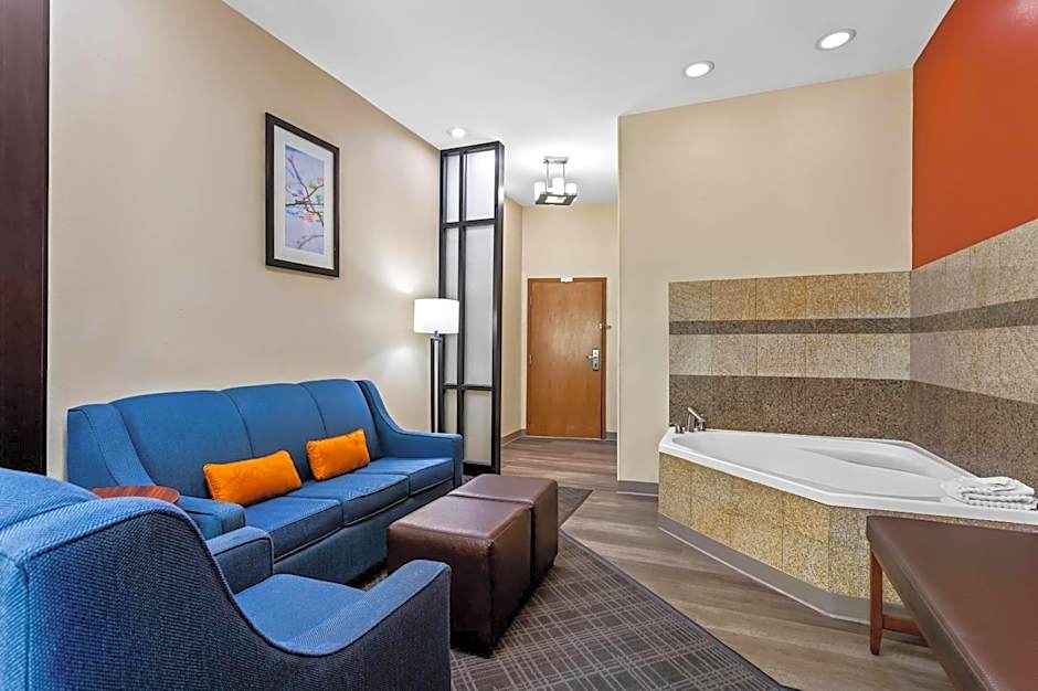 Comfort Suites Roswell North